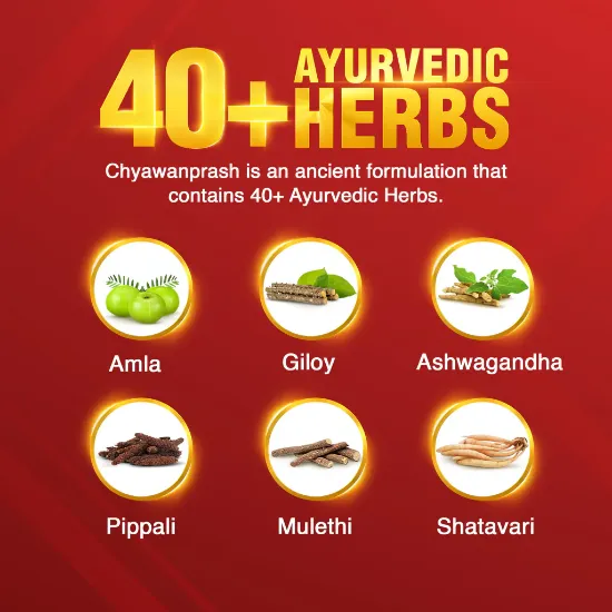 డాబర్ చ్యవన్‌ప్రాష్ 950గ్రాము యొక్క చిత్రం