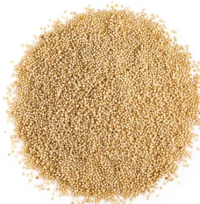 సూపర్ సీడ్ రాజ్‌గిర / ఉసిరికాయ విత్తనాలు / రామదాన విత్తనం (50 గ్రా) యొక్క చిత్రం