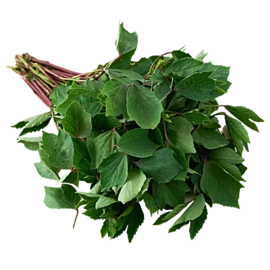 గోంగూర --1 katta యొక్క చిత్రం