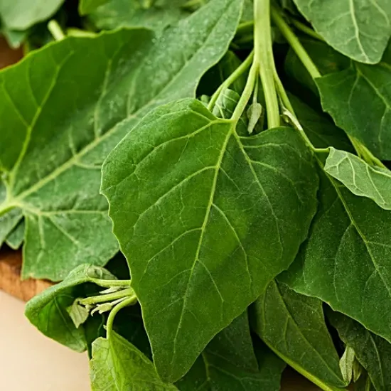 తోటకూర కట్ట యొక్క చిత్రం