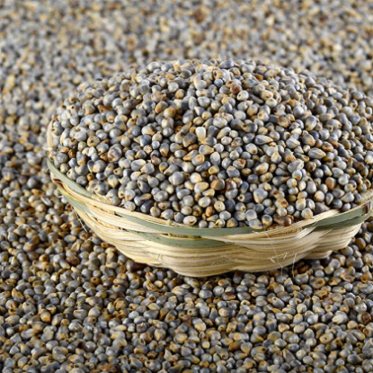 బజ్రా మిల్లెట్ (సజ్జలు) 500 యొక్క చిత్రం