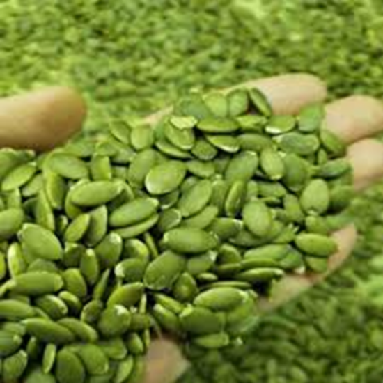 ప్రిమియం గుమ్మడికాయ గింజలు – ప్రోటీన్ & ఫైబర్‌తో నిండిన సూపర్ ఫుడ్, రోగనిరోధక శక్తి మరియు గుండె ఆరోగ్యానికి యొక్క చిత్రం