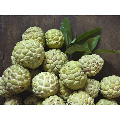 సేంద్రీయ సీతాఫలం పండు విత్తనం యొక్క చిత్రం