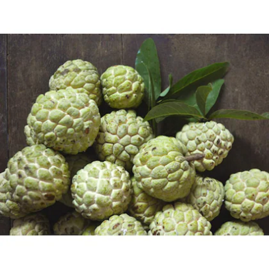 సేంద్రీయ సీతాఫలం పండు విత్తనం యొక్క చిత్రం