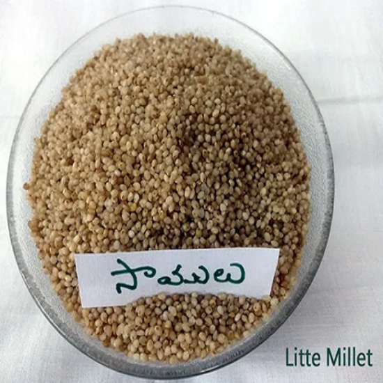 లిటిల్ మిల్లెట్ (సమలు) 500 గ్రా యొక్క చిత్రం
