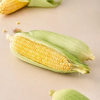 మొక్కజొన్న 1pc యొక్క చిత్రం